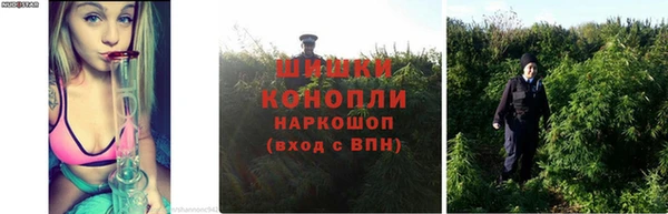 первитин Осинники