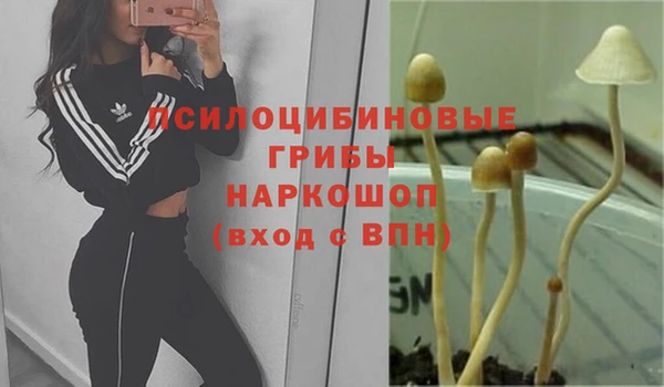 спиды Няндома