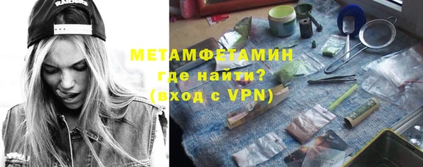 индика Нягань