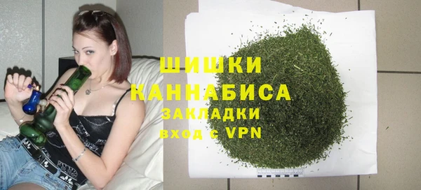 первитин Осинники